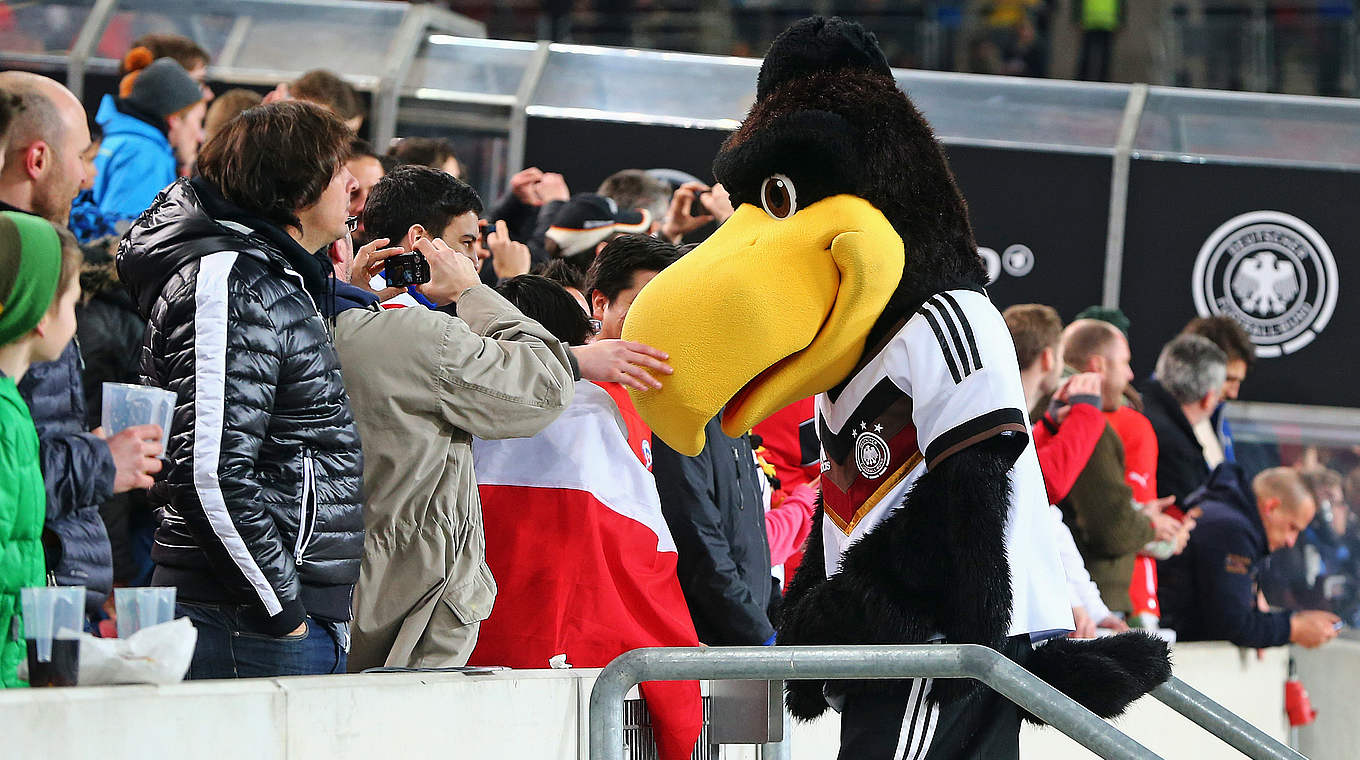 Das erste Länderspiel im Weltmeisterschaftsjahr gegen Chile. Bei kalten Temeraturen sorgte der Fan Club Nationalmannschaft für Stimmung im und un das Stadion in Stuttgart. © 