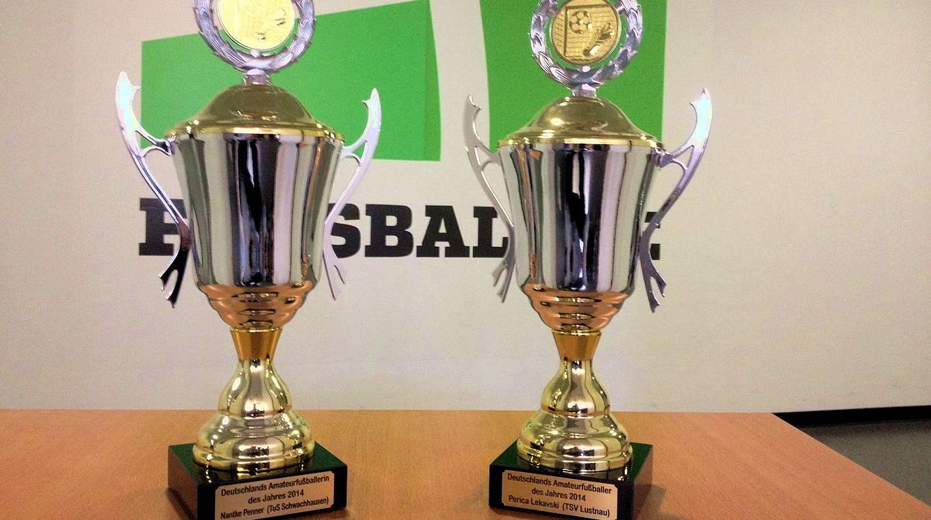 Diese beiden Pokale wurden Anfang 2014 übergeben. © FUSSBALL.DE