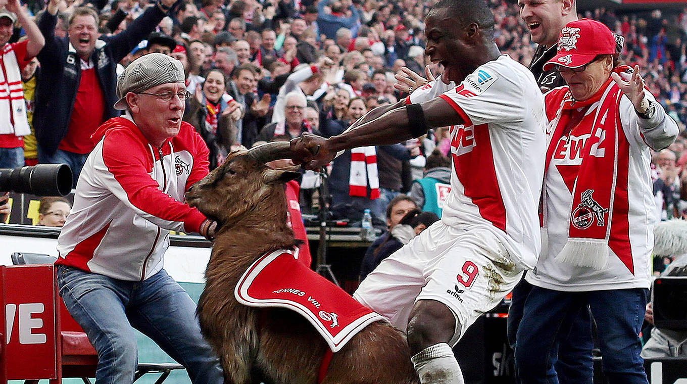 "Ein richtiger Geißbock muss so was aushalten": Ujah "jubelt" mit Hennes VIII © imago/Thilo Schmülgen