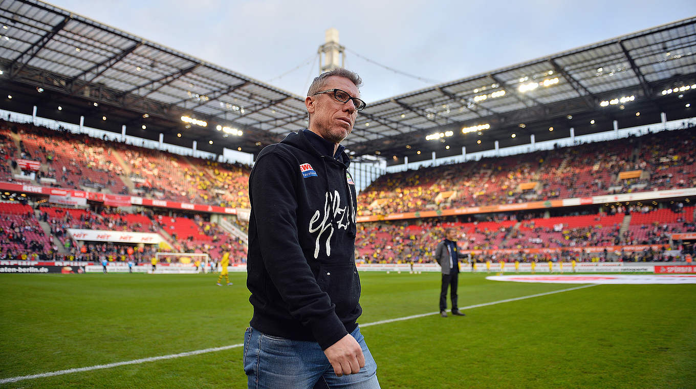 Auf dem Weg zum Kölner Rekordtrainer: Stöger verlängert beim FC bis 2020 © 2015 Getty Images