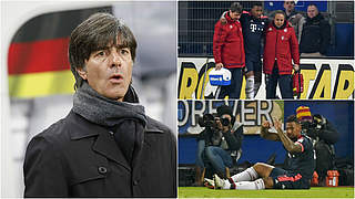 Löw: 