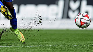 Klasse sicher: Der SV Meppen spielt auch nächste Saison Bundesliga © Getty Images