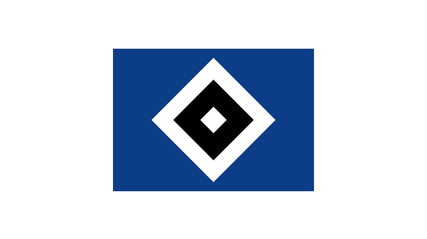 Geldstrafe wegen Fehlverhaltens seiner Anhänger: der Hamburger SV © DFB