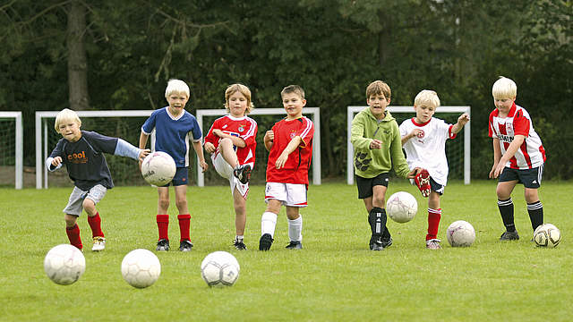 Bambini*e :: Trainer*in :: Training & Service :: DFB - Deutscher ...