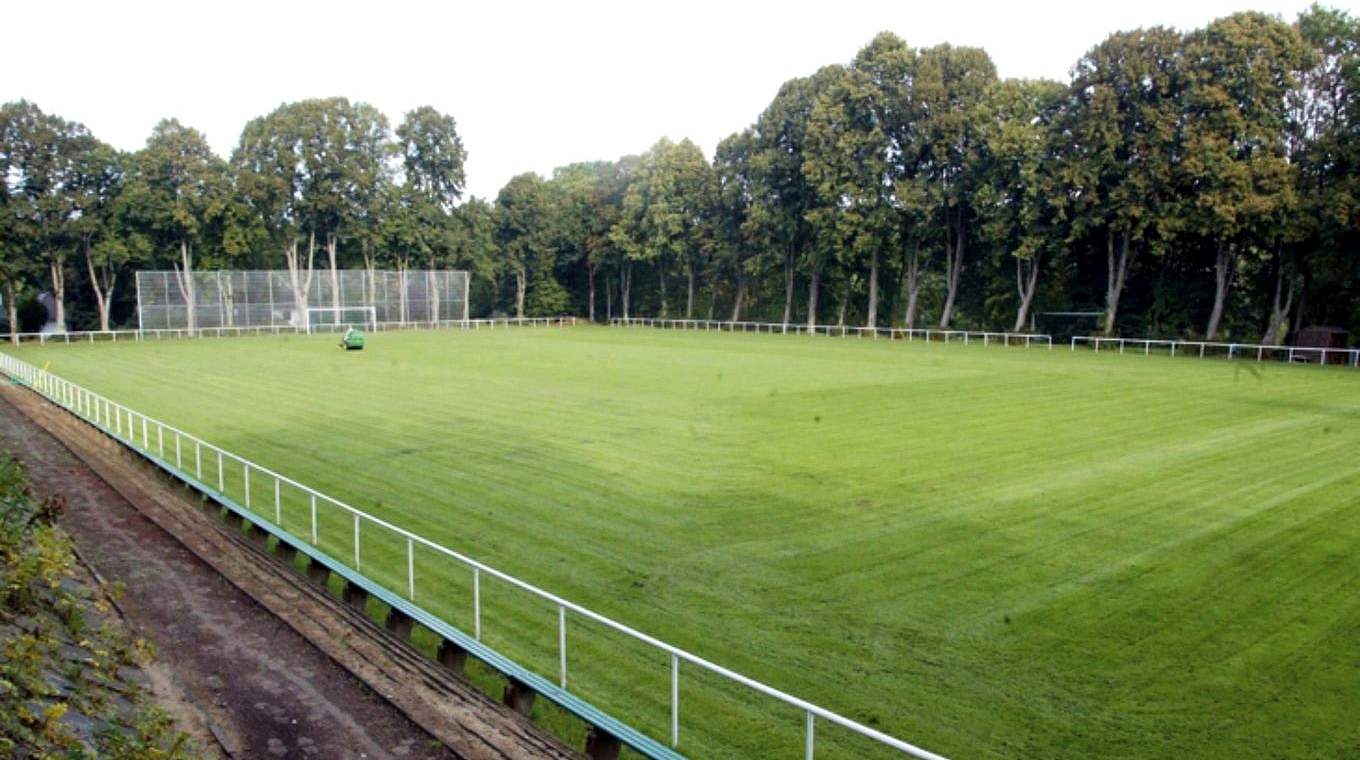 Buchstäblich die Grundlage: Der DFB gibt Tipps zum Bau und Erhalt von Fußballplätzen © DFB AG Rasen