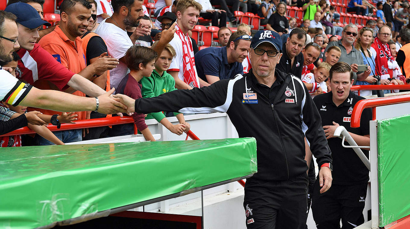 Jubiläum: Köln-Trainer Peter Stöger sitzt im 100. Bundesligaspiel auf der Bank © imago/Matthias Koch