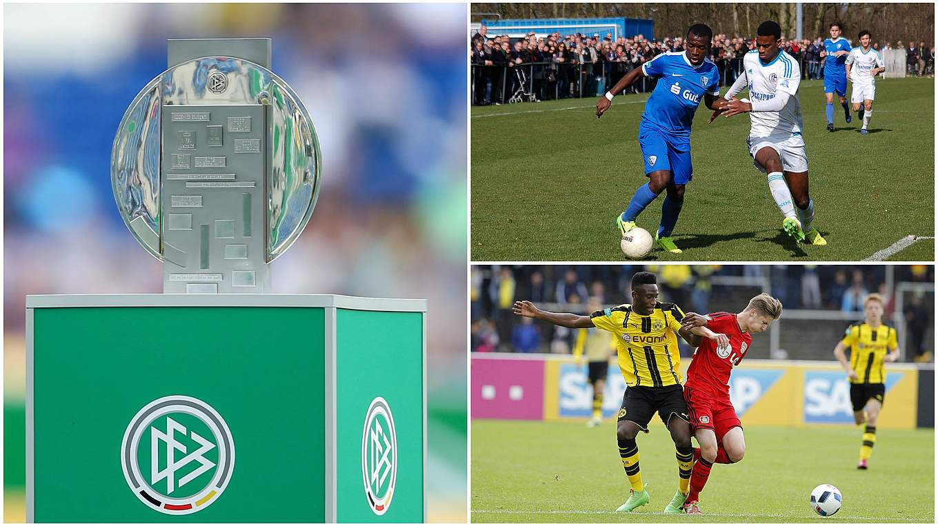 Vier Bewerber, zwei Plätze: BVB, Bayer, S04 und Bochum spielen um die Endrunde © Getty Images/mspw/Collage DFB