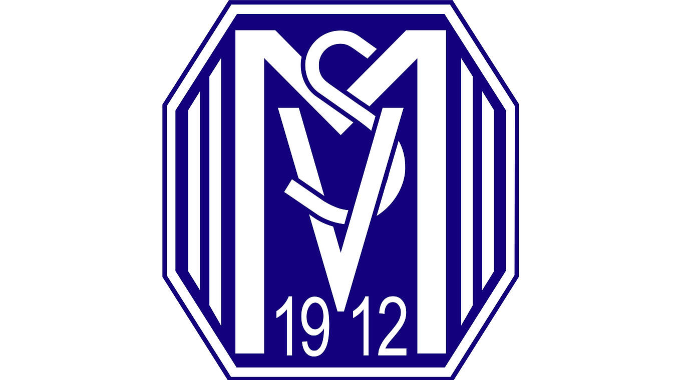 Geldstrafe für den SV Meppen: Unsportliches Verhalten der Anhänger © SV Meppen