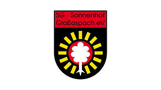 Für nicht ausreichenden Ordnungsdienst bestraft: die SG Sonnenhof Großaspach © SG Sonnenhof Großaspach