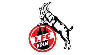 Geldstrafe wegen unsportlichen Verhaltens seiner Anhänger: 1. FC Köln © 1. FC Köln