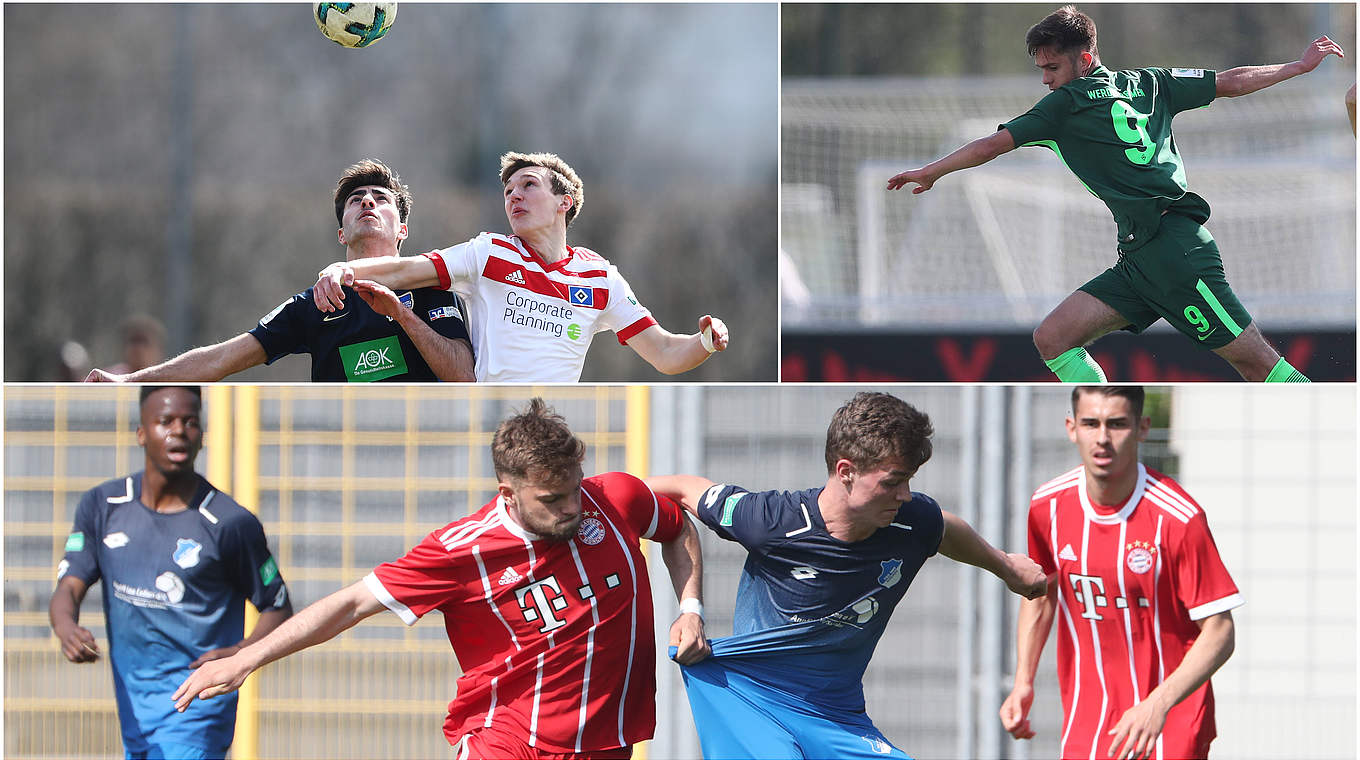 Fünf Teams im Rennen um Staffeltitel: Hertha, der HSV, Bremen, Bayern und Hoffenheim © Getty Images/imago/Collage DFB