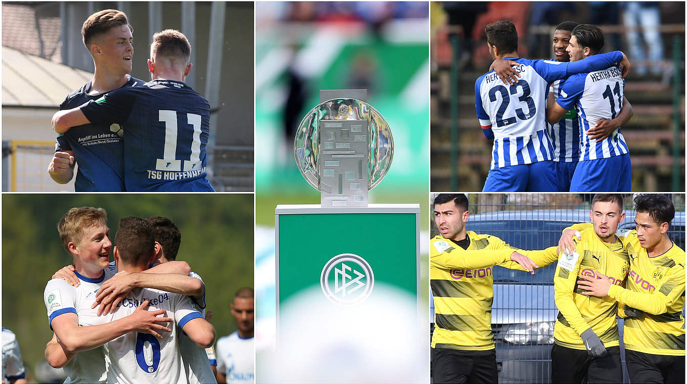 Vier Bewerber um die Trophäe: Hoffenheim (l.o.), Hertha (r.o.), Schalke (l.u.), BVB (r.u.) © Getty Images/imago/Collage DFB