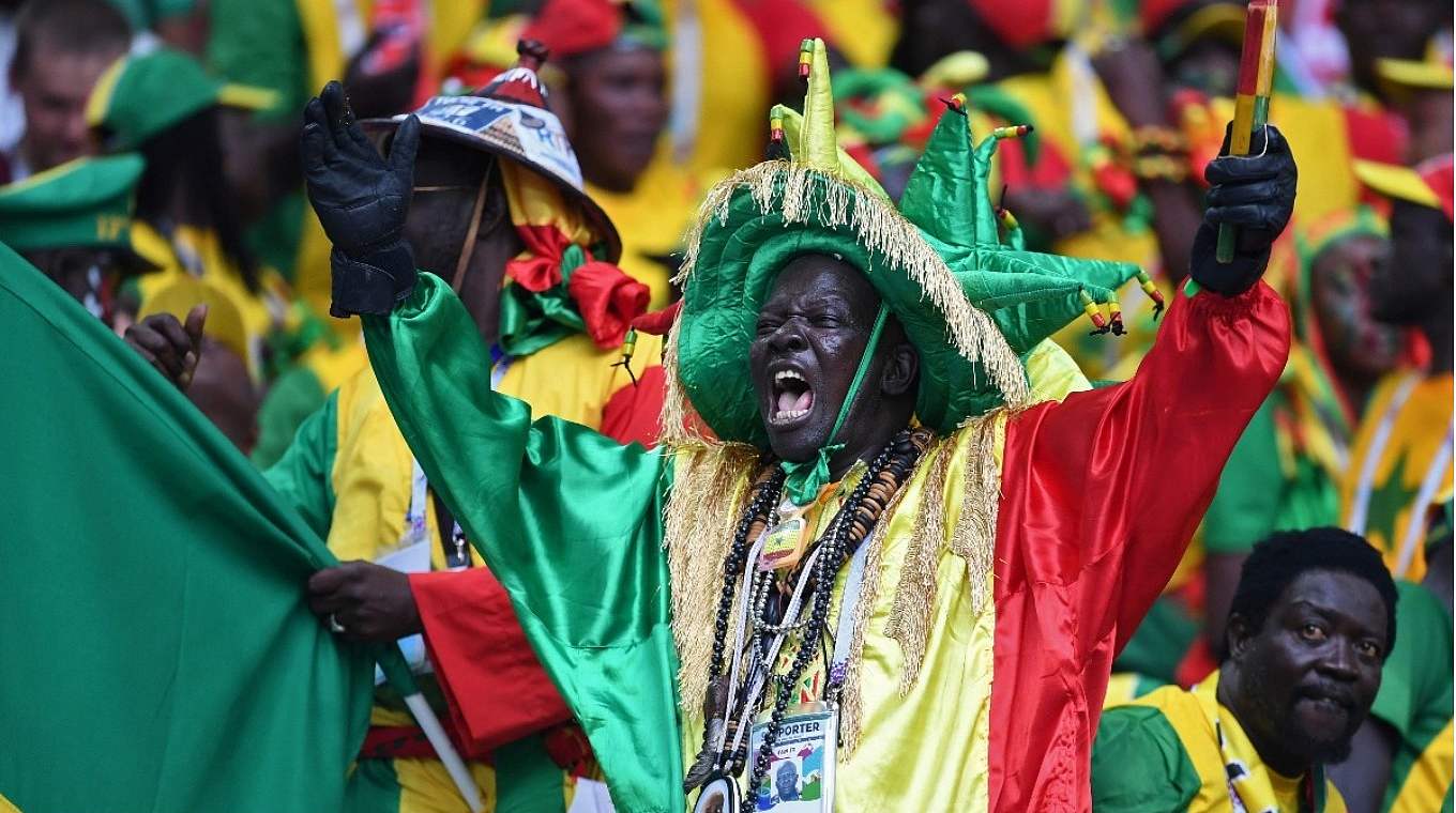 Mit viel Leidenschaft dabei: senegalesische Fans.  © Getty Images