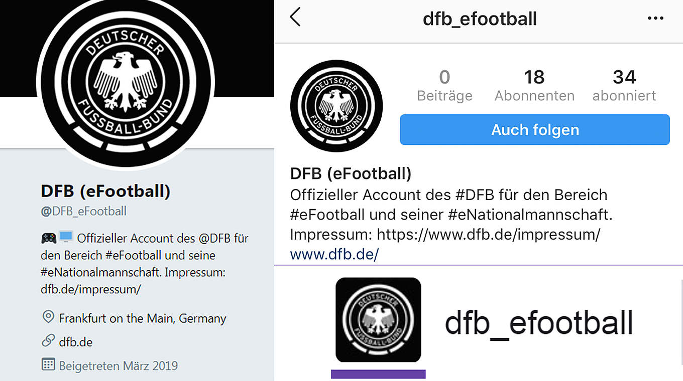  © DFB