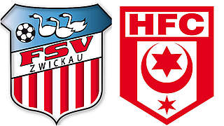  © FSV Zwickau/Hallescher FC/Collage DFB