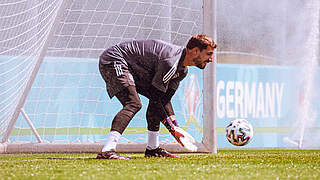 Trapp: 