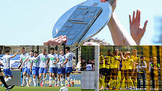 Trophäe im Blick: Hertha BSC und Borussia Dortmund wollen den Meistertitel © Getty Images Collage DFB