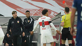 Rote Karte gegen Hoffenheim: Stuttgarts Co-Trainer David Krecidlo (l.) © imago