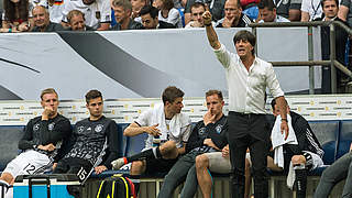 Löw: 