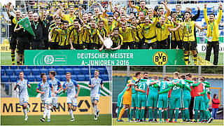 Die Sieger der drei Staffeln: Meister Dortmund, 1899 Hoffenheim und Werder Bremen © Getty Images/DFB