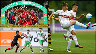 Die Sieger der drei Staffeln: Meister Bayer Leverkusen, VfL Wolfsburg und VfB Stuttgart © Getty/DFB