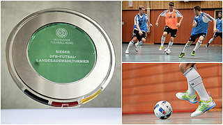 Vierte Auflage: Wer holt sich den Titel beim Futsal-Länderpokal? © Getty Images