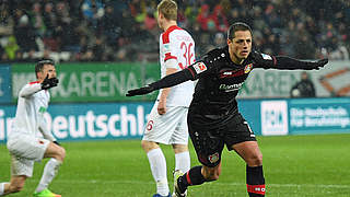 Doppelpack in Augsburg: Chicharito (r.) dreht nach seinem ersten Treffer jubelnd ab © 2017 Getty Images