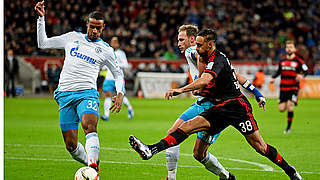 Bellarabi (r.) spielt stark auf: Bayer rettet Punkt gegen Schalke © 2015 Getty Images