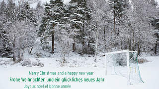 Merry Christmas and a Happy New Year! © DFB